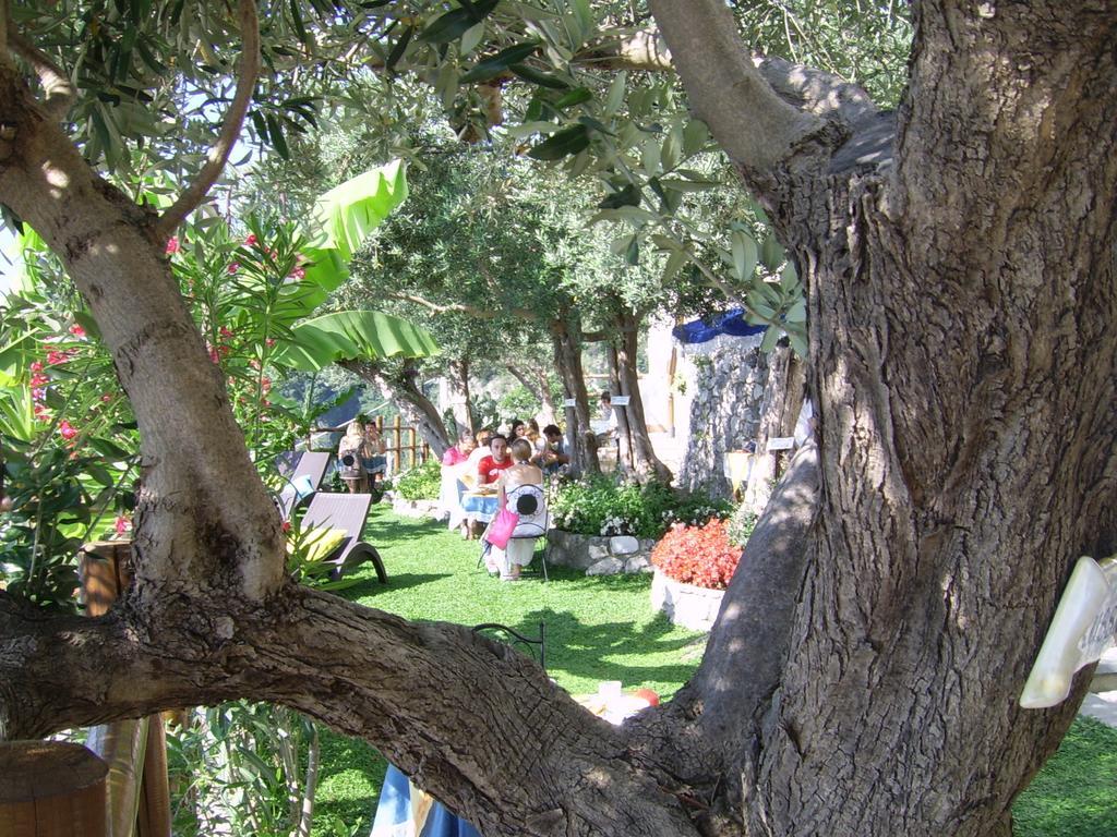 World Center Bed and Breakfast Amalfi Exteriör bild